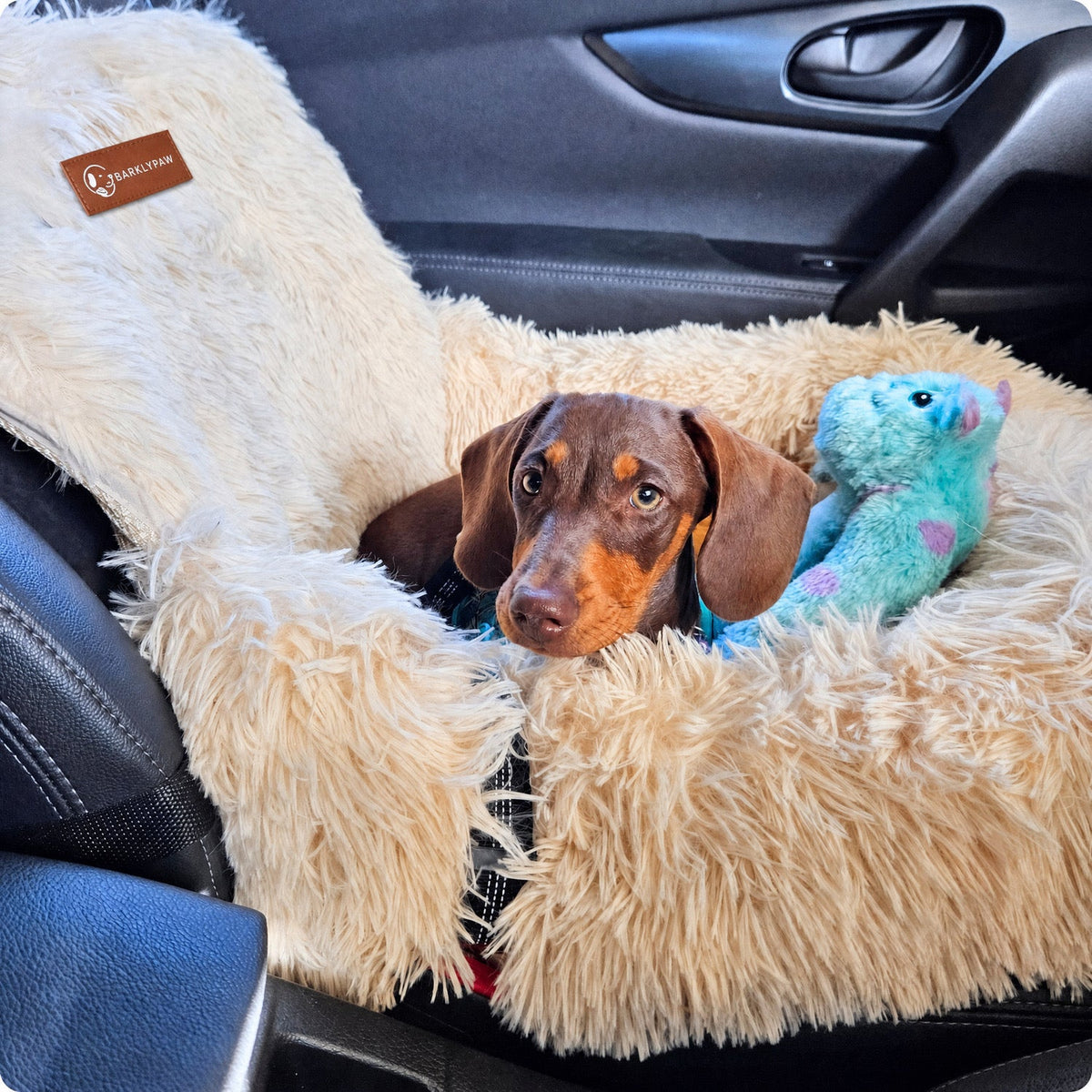 Protecting car bed for dogs with a small dog inside