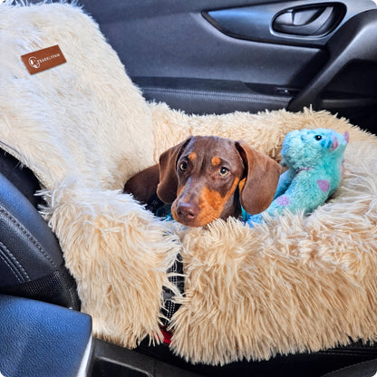 Protecting car bed for dogs with a small dog inside