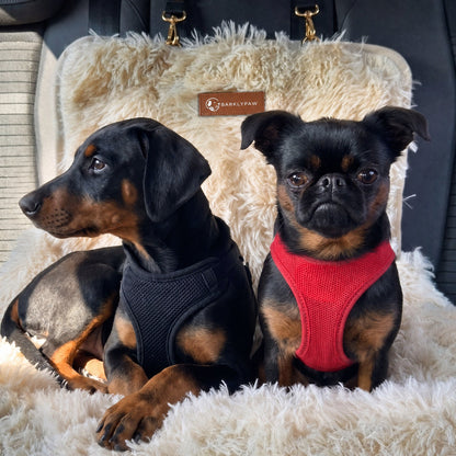 Protecting car bed for dogs with a small dog inside