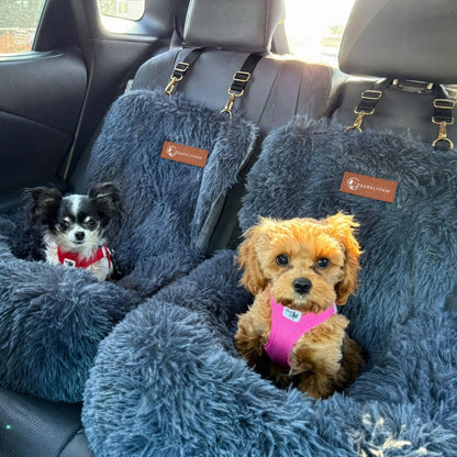 Protecting car bed for dogs with a small dog inside